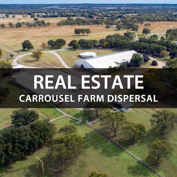 Carrousel Auction - Real Estate