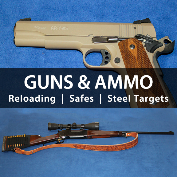 Carrousel Auction - Guns & Ammo