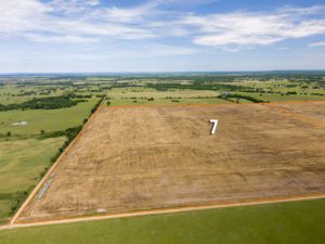 Chevalier Ranch Auction-Parcel 7