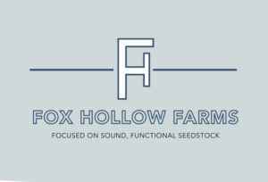 Image: Fox Hollow Farms Production Sale