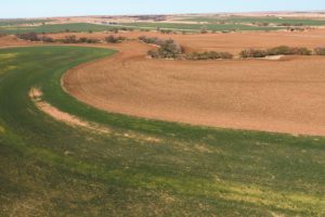 Image: Cordell Land Auction