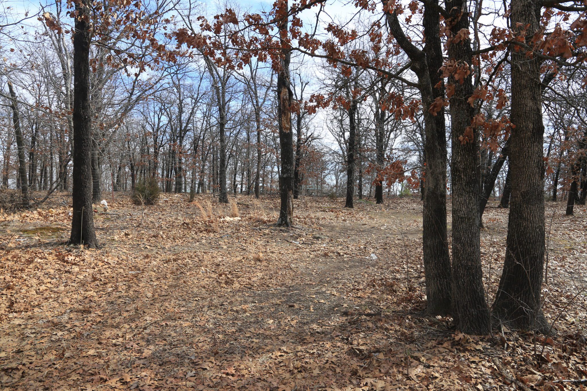 Chelsea Acreage CJ Real Estate