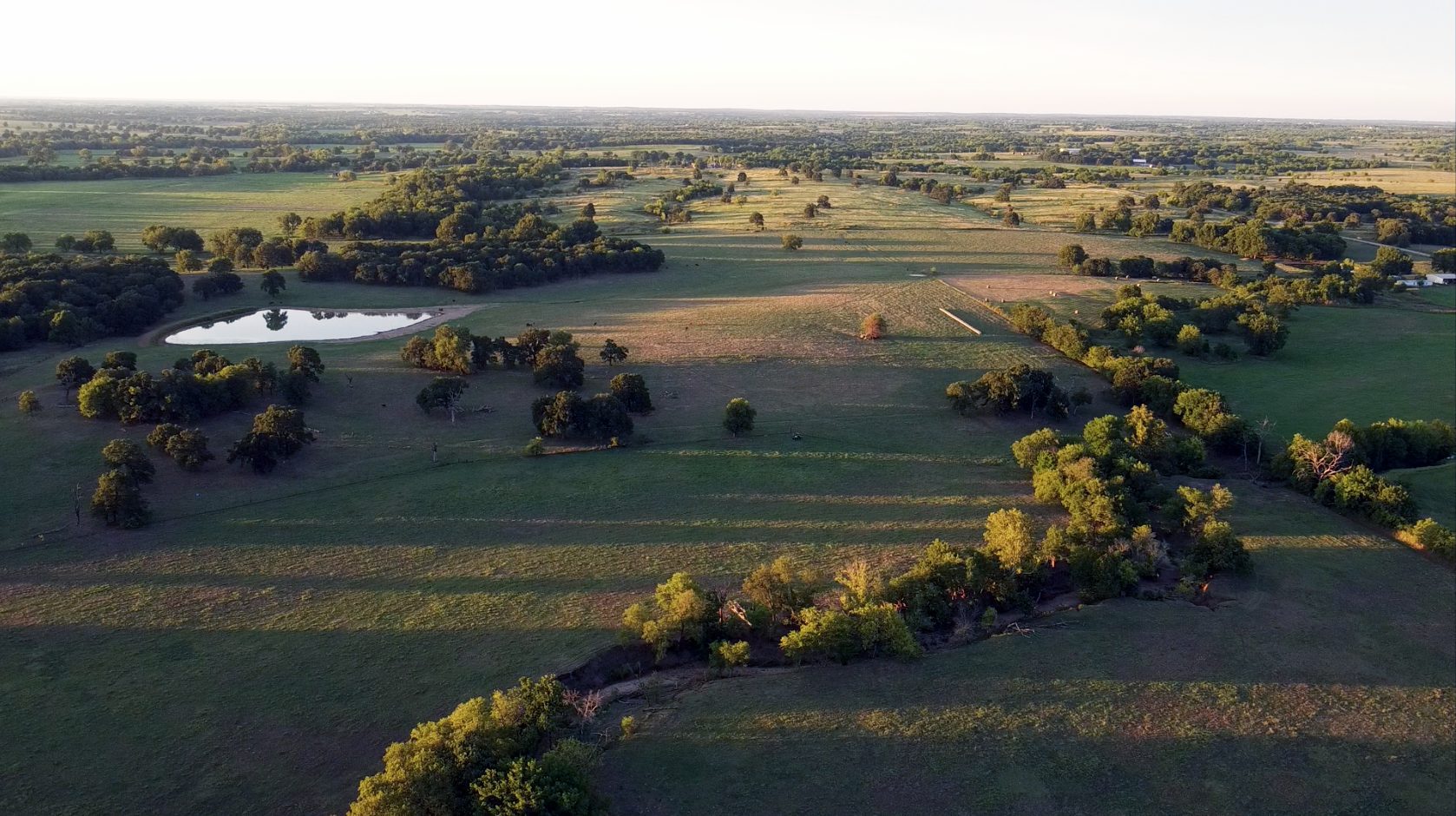 Image: Hottel Ranch Auction