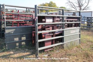 Image: White Oak Ranch Auction