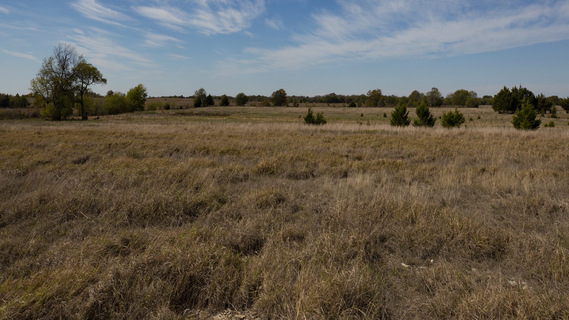 Image: Chadwick Ranch Sulphur OK